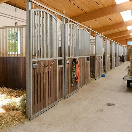 Casa de Férias Mit Garten, *