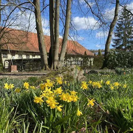 Mit Garten, *