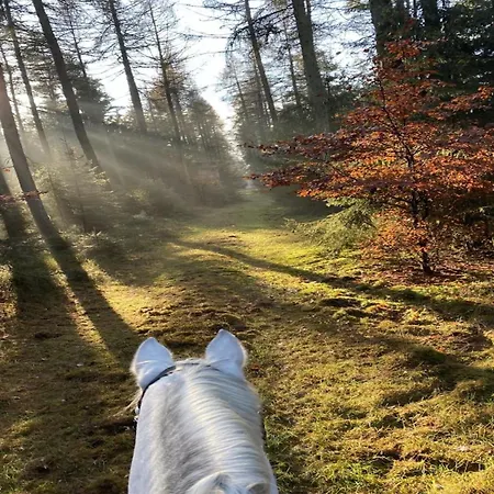 Mit Garten, Casa de Férias
