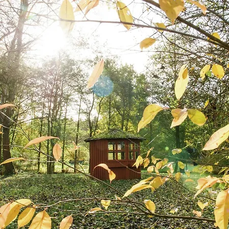 Mit Garten, * Eschede