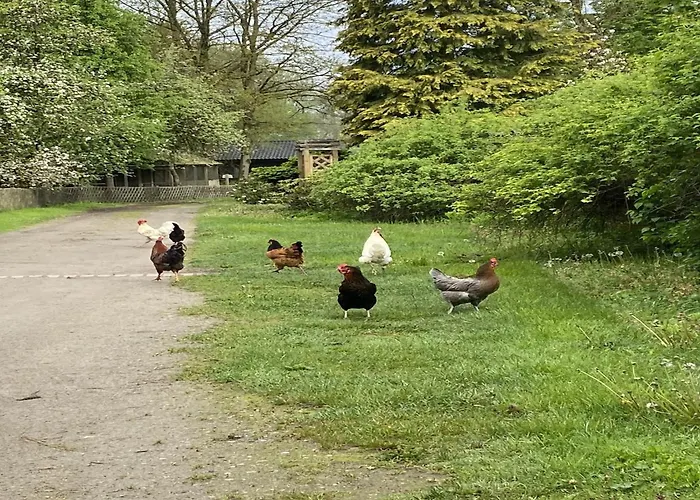 Mit Garten, Semesterbostad Eschede