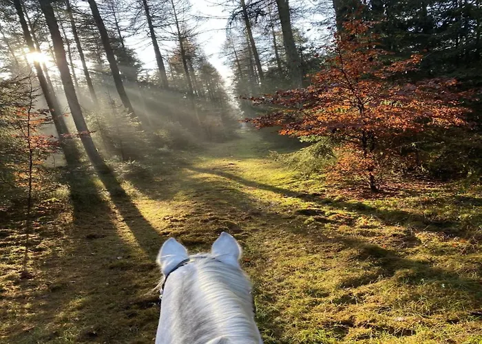 Mit Garten, Semesterbostad