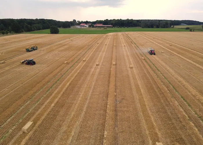 Semesterbostad Mit Garten, Eschede