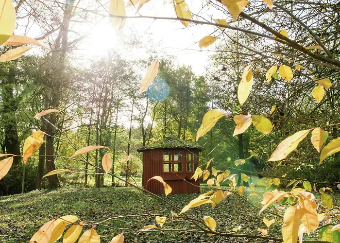 Mit Garten, * Eschede