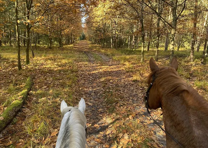 Semesterbostad Mit Garten, Eschede